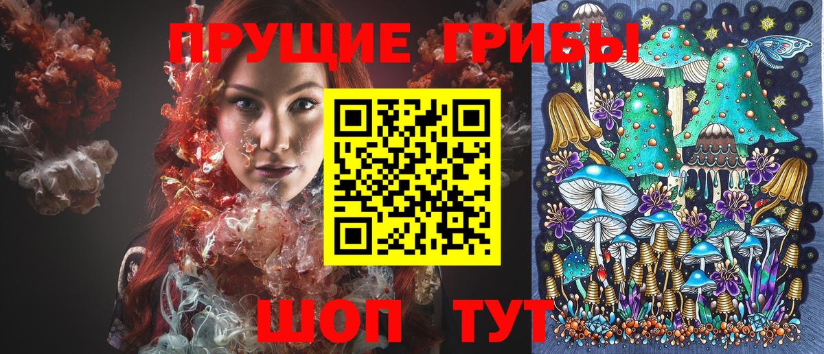 Сергиев Посад  Галлюциногенные грибы прущие грибы  Вход с VPN  Псилоцибиновые грибы GOLDEN TEACHER 